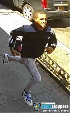 Police searching for punk who stole woman’s purse in broad daylight in Sunset Park