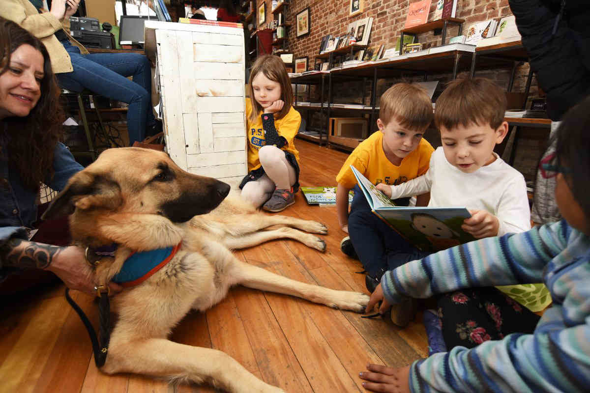 Bark Slope: Kiddos read to dogs at Park Slope bookstore