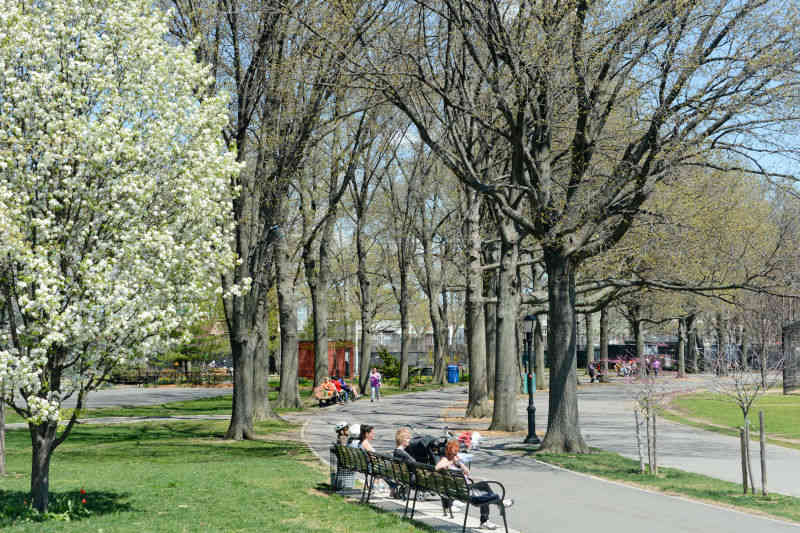 ‘There is no band-aid solution’: Parks commissioner reveals costly price tag for Marine Park renovation