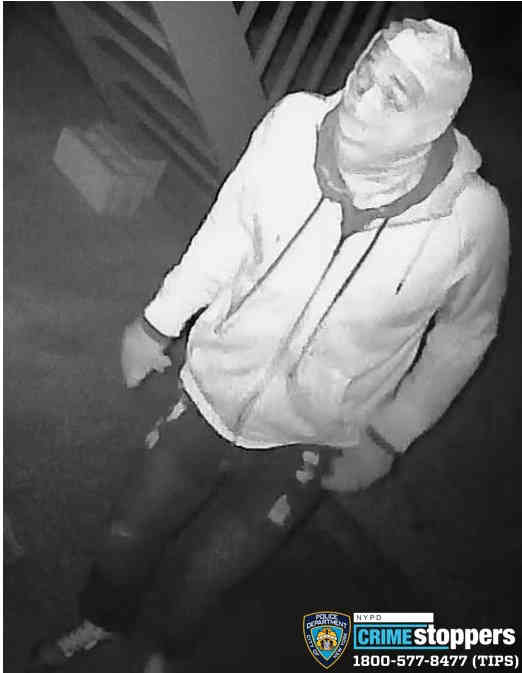 World’s worst burglar: Sheepshead Bay sneak caught breaking into homes twice in one day