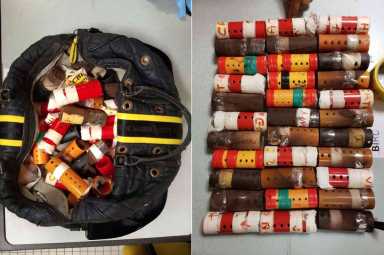 Bird brain: Feds bust man for smuggling finches for Brooklyn bird singing competitions