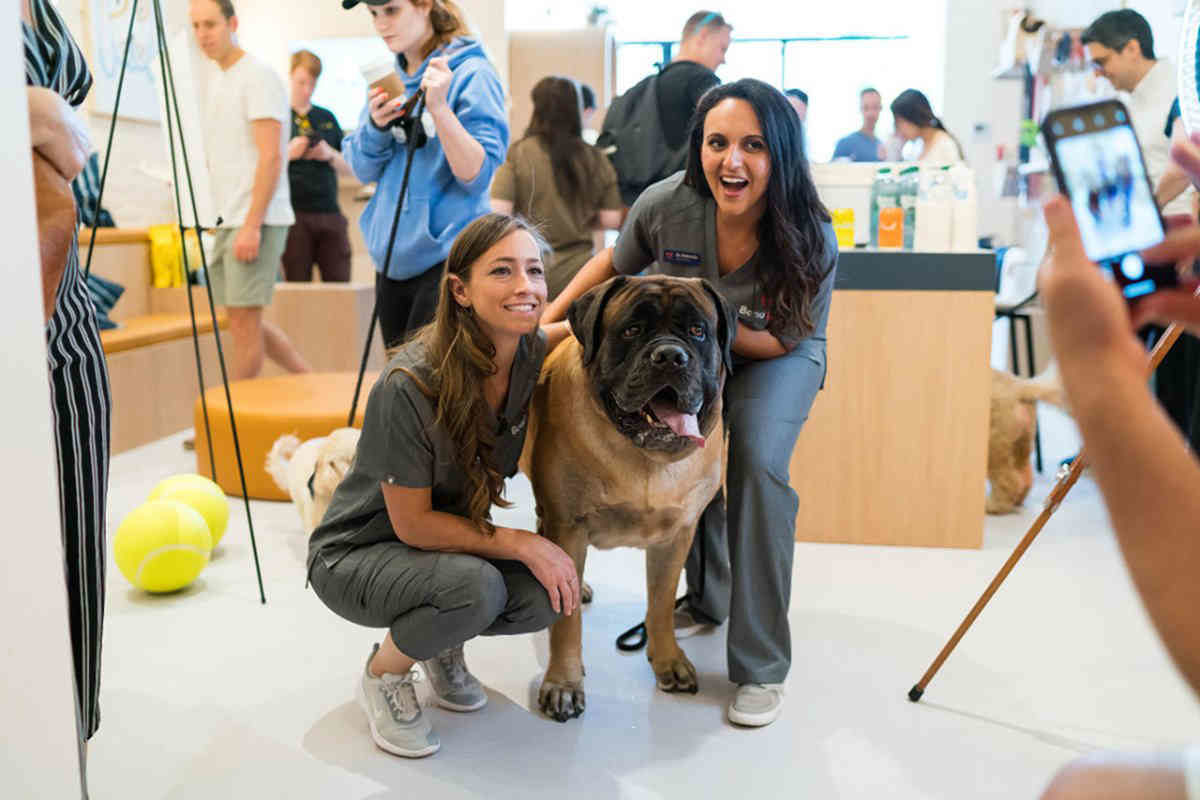 Fur-st in line: Brooklyn’s newest vet clinic opens in Cobble Hill