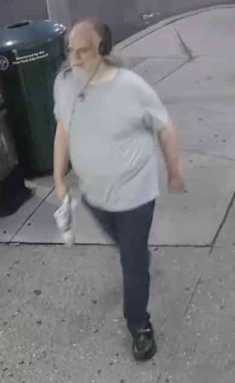 Cops bust alleged racist vandal