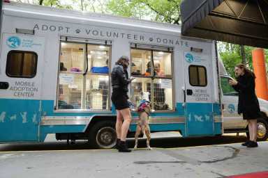 Pit Stop: Mobile adoption center coming to Mill Basin