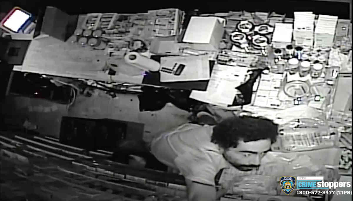 Sunset prowler on the loose
