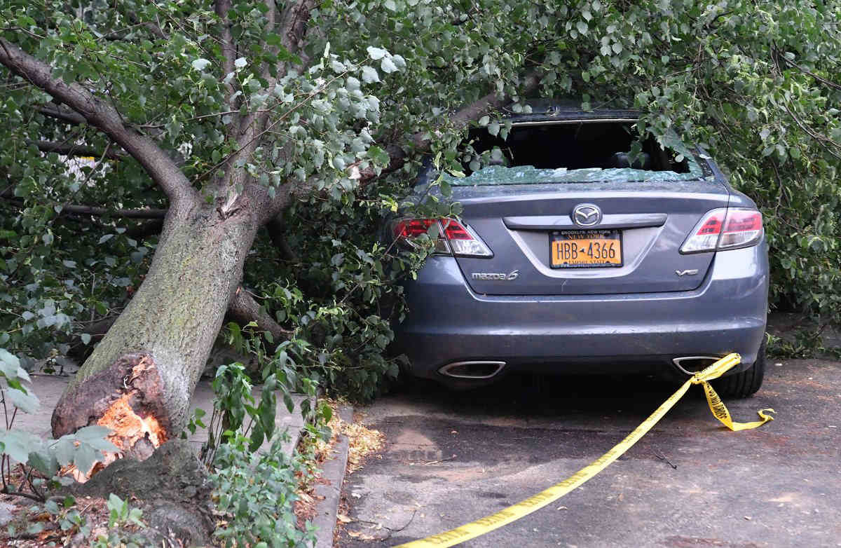 Timber!: Trees fall across the borough during Saturday’s storm