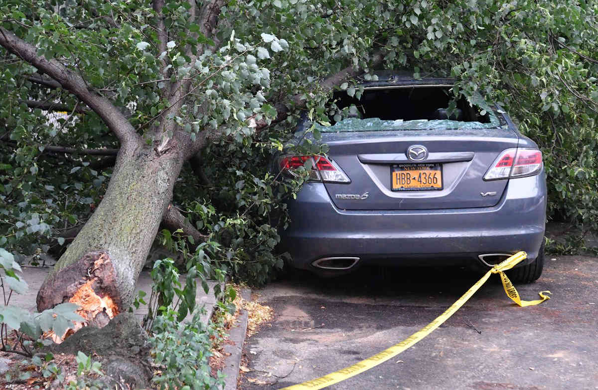 Timber!: Trees fall across the borough during Saturday’s storm