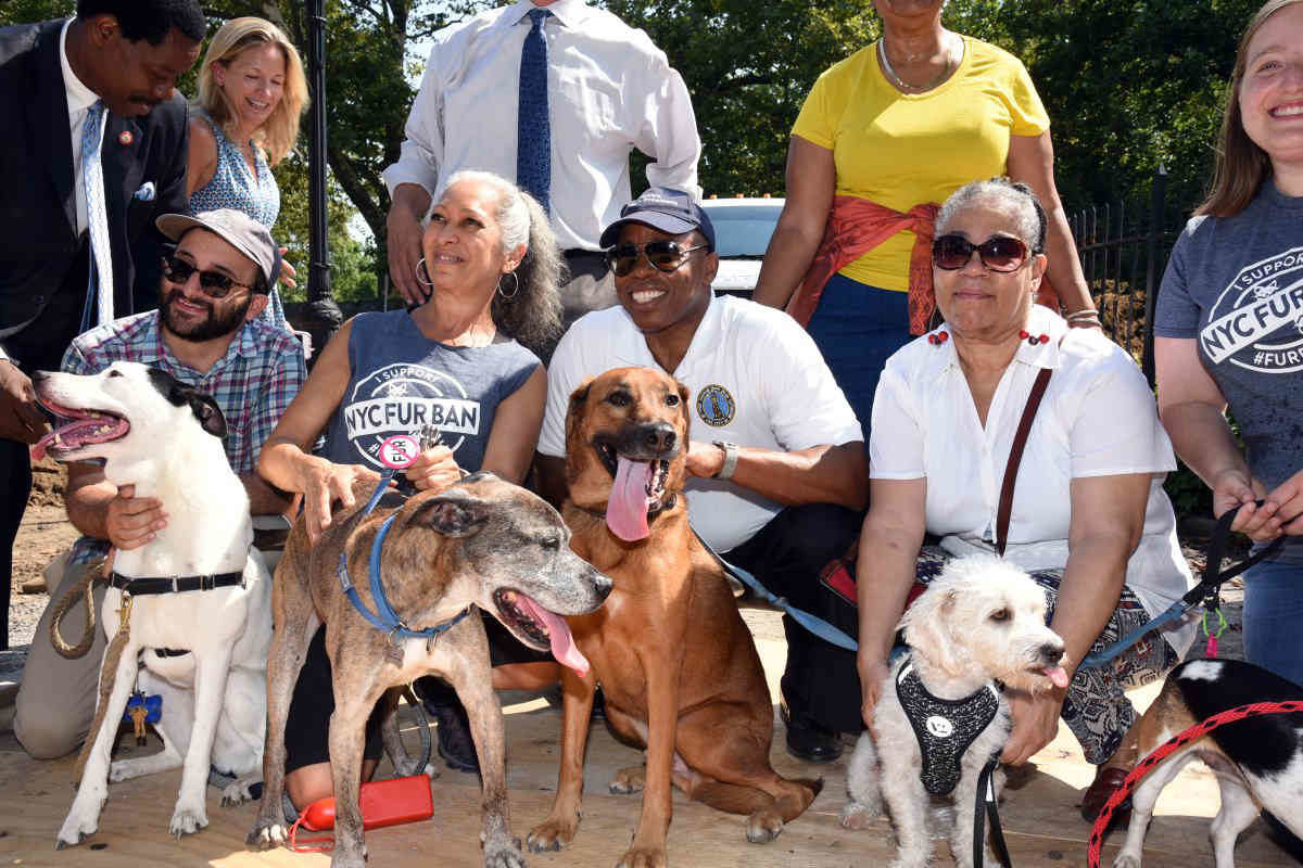 Work starts on long-delayed Kensington Dog Run