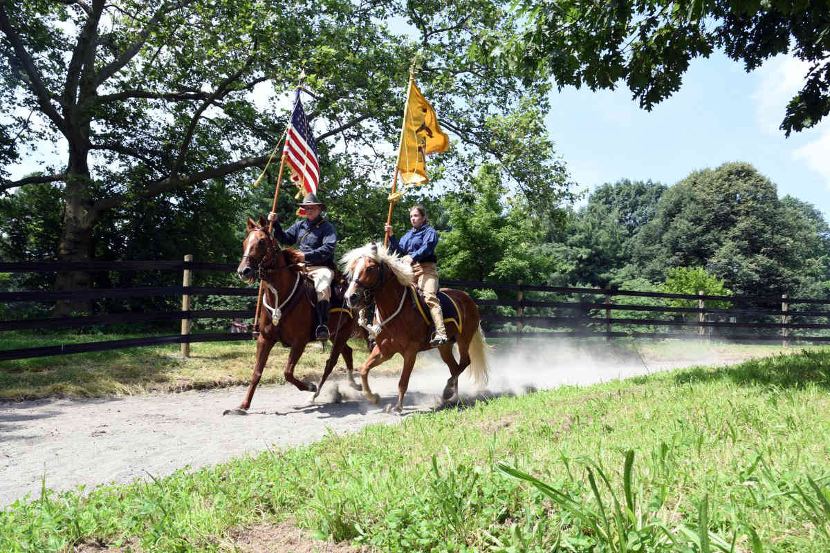 Horses gallop into Prospect Park for equine parade
