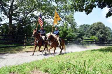Horses gallop into Prospect Park for equine parade