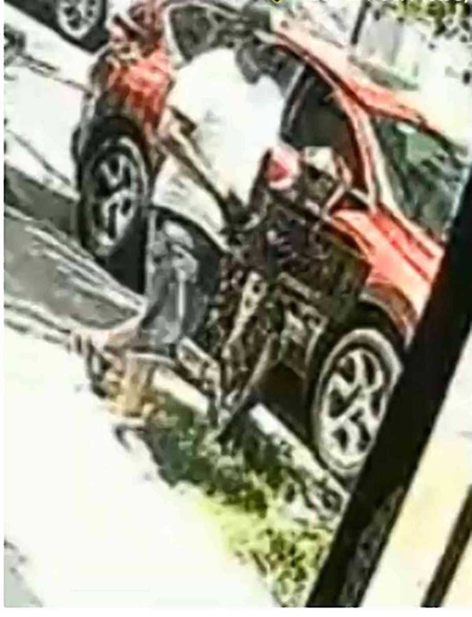 Homecrest looter on the loose