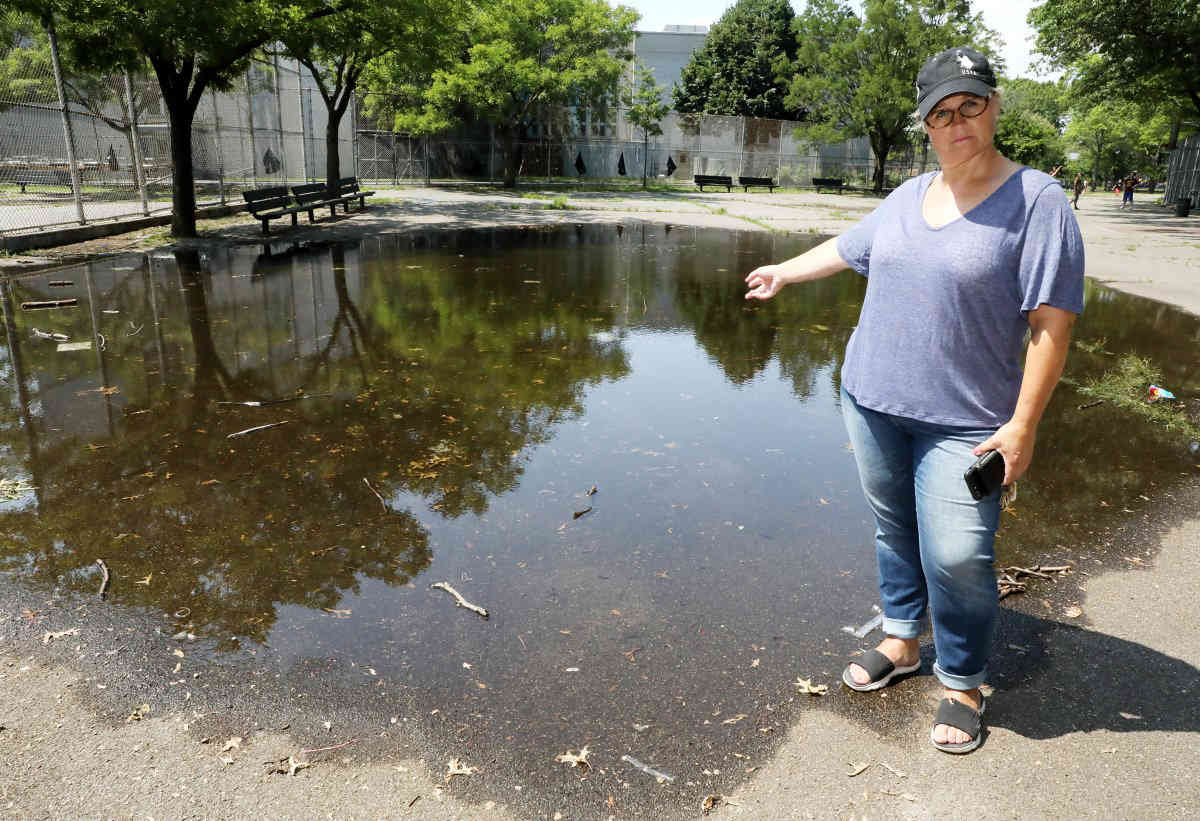 Marine Park is mosquito breeding ground amid West Nile scare