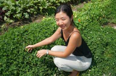 City’s largest rooftop farm opens in Sunset Park