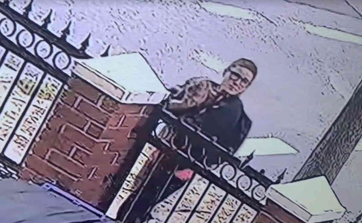 Update: Woman returns dog she recovered after it escaped Williamsburg home