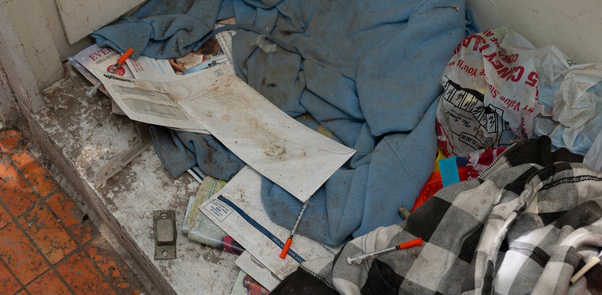 Sheepshead Bay ‘zombie homes’ plagued by squatters, mold, and feral cats