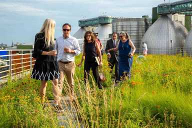 Flower tower: Landscapers show property owners how to turn rooftops into gardens