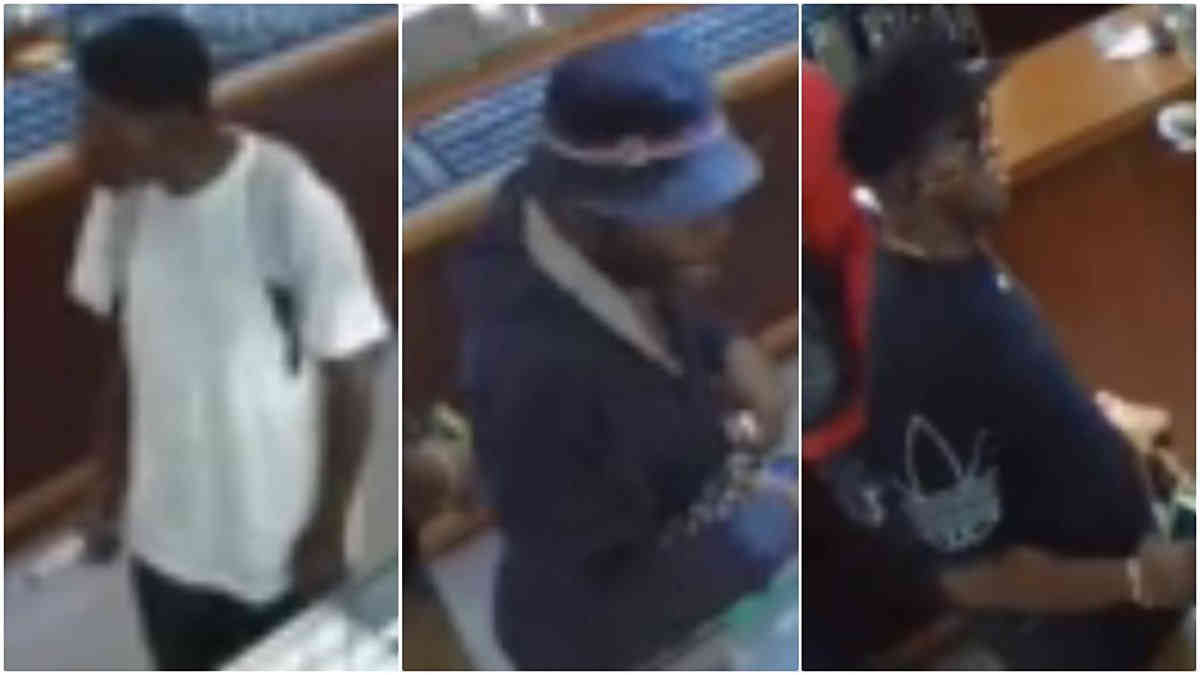 Cops hunt thieves who nabbed $95,000 worth of jewelry in Mill Basin