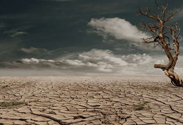 upload-20190905-115111-desert-drought-dehydrated-clay-soil-60013.jpg