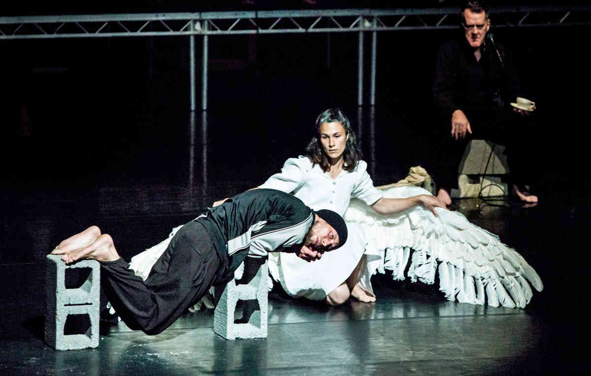 Feather weight: Irish adaptation of “Swan Lake” lands at BAM