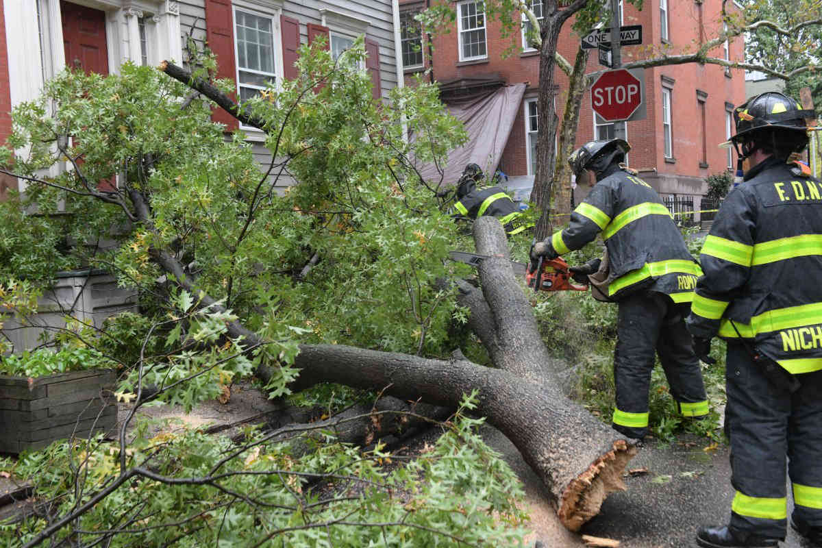 Massive falling tree branch strikes two homes in Brooklyn Heights