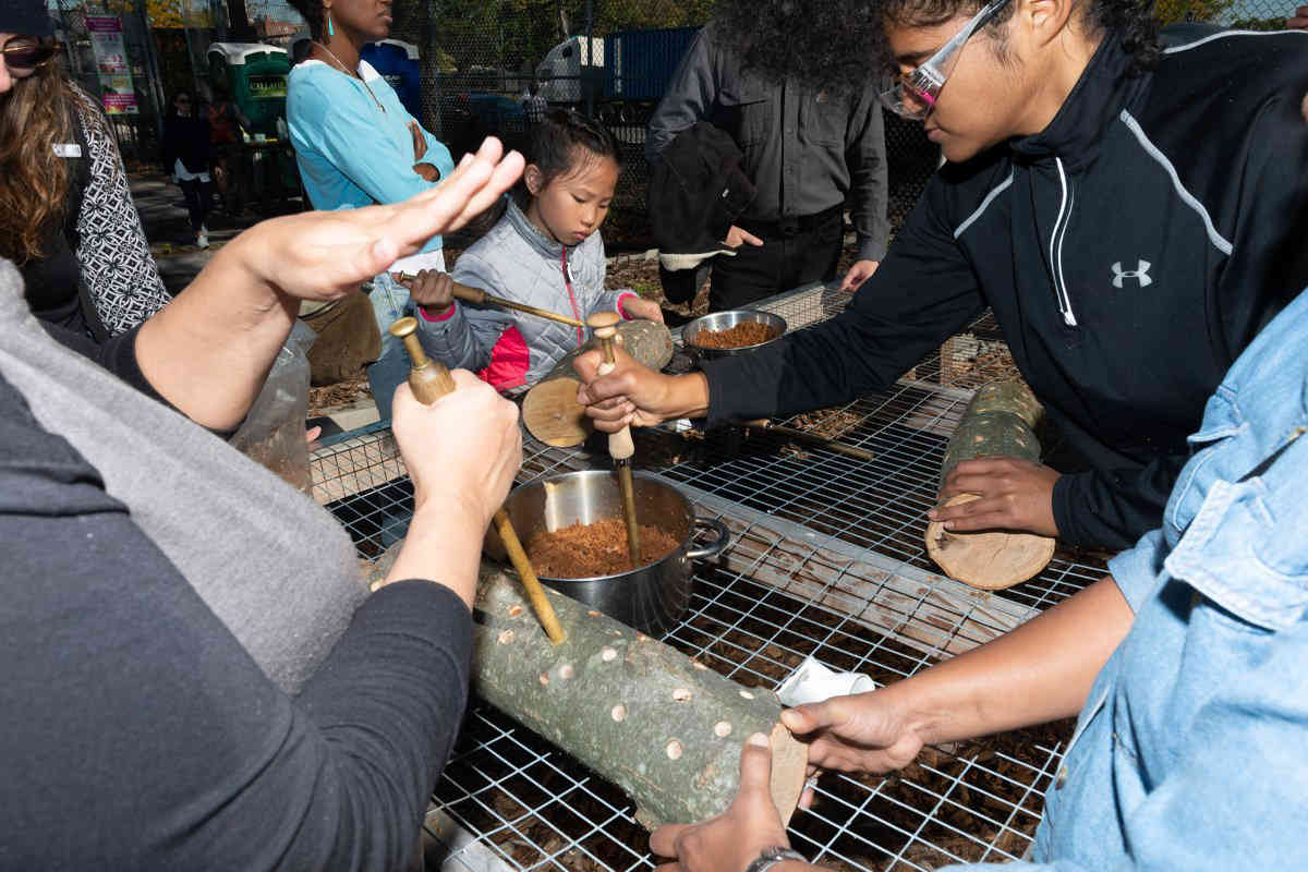 Red Hook celebrates harvest season with fun and games