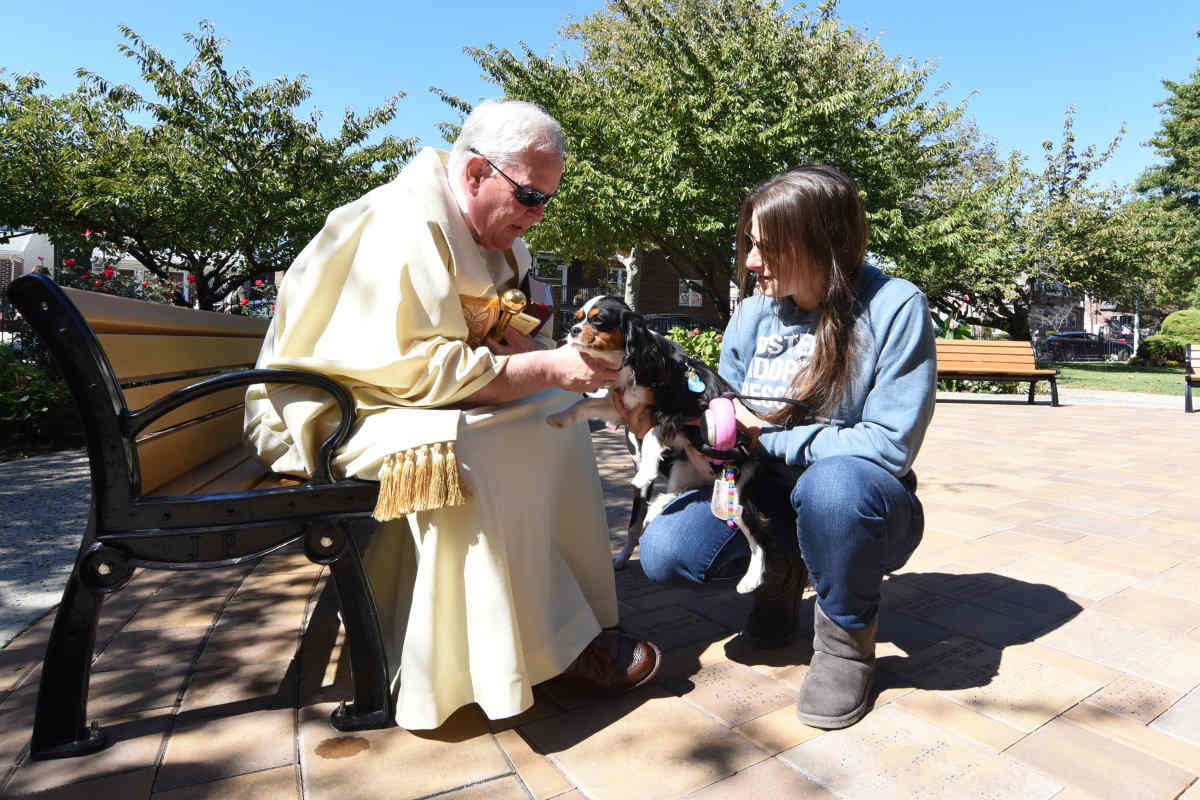Marine Park church blesses dozens of pets in animal blessing ceremony