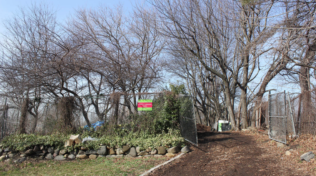 Aberdeen garden