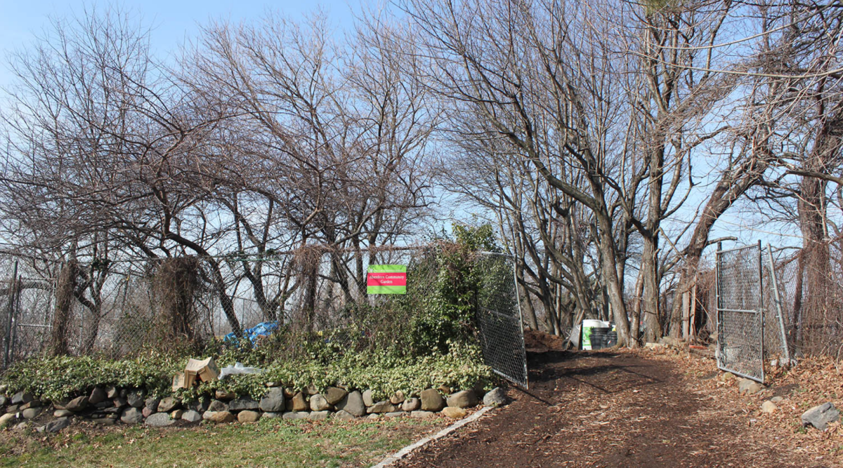 Aberdeen garden