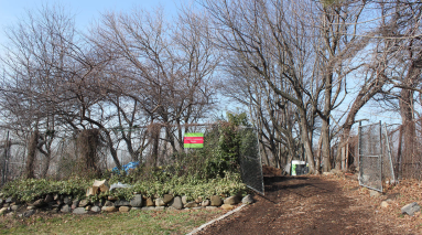 Aberdeen garden