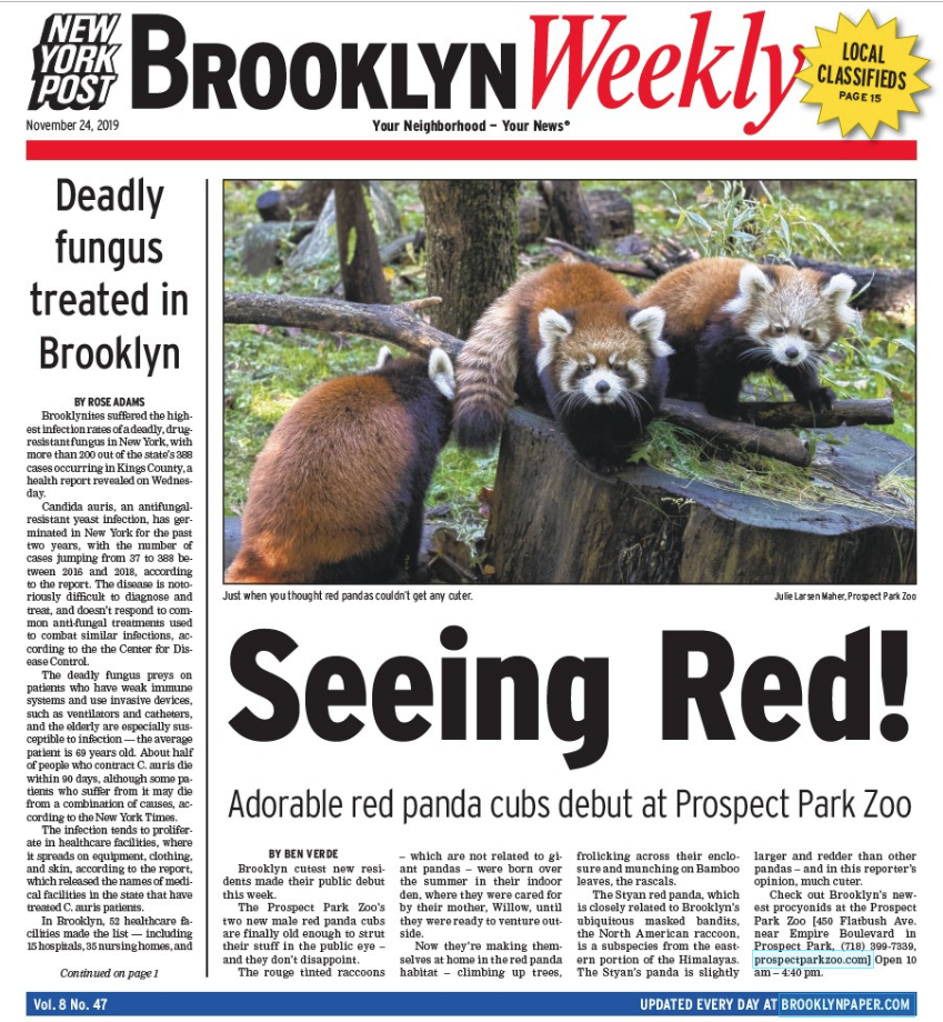 Brooklyn Weekly