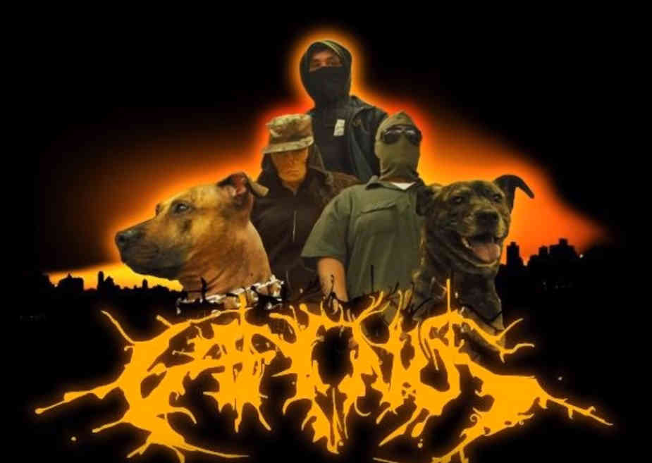 Mosh pittie: Brooklyn lawmaker behind animal rights bills played in metal band with pitbull vocalists