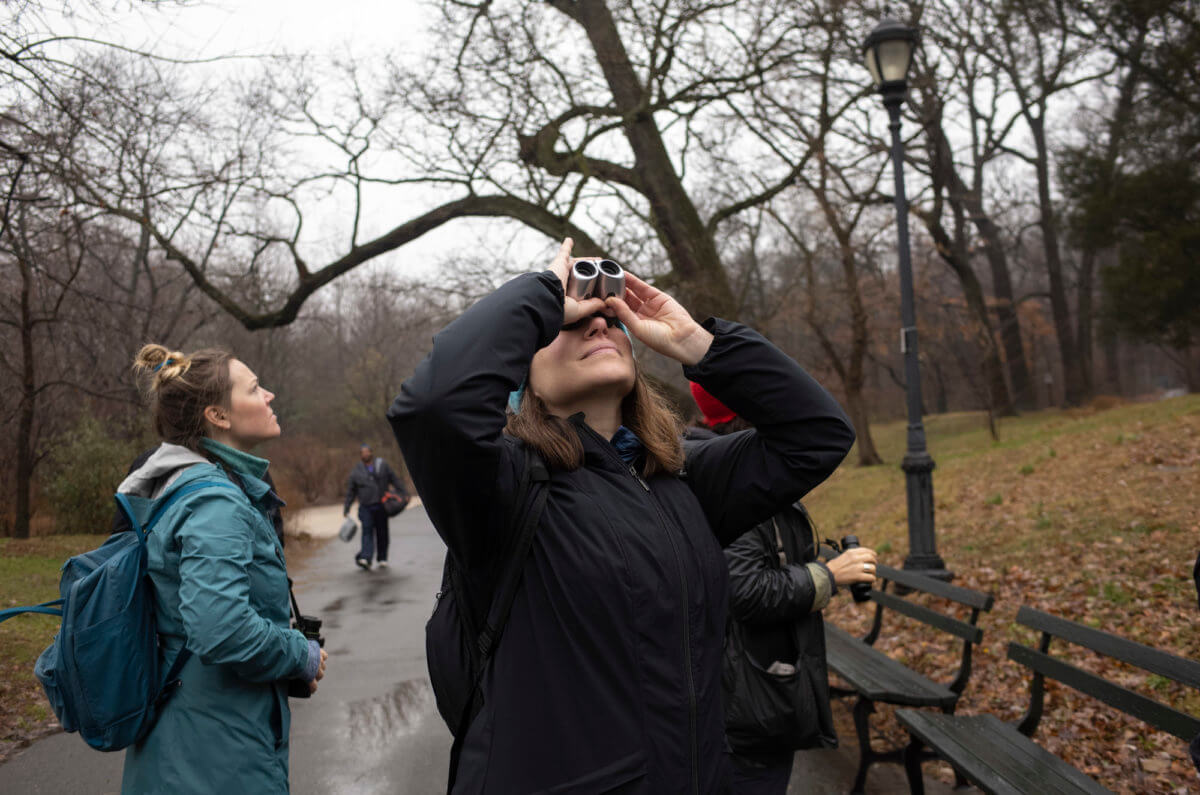 prospect park birders