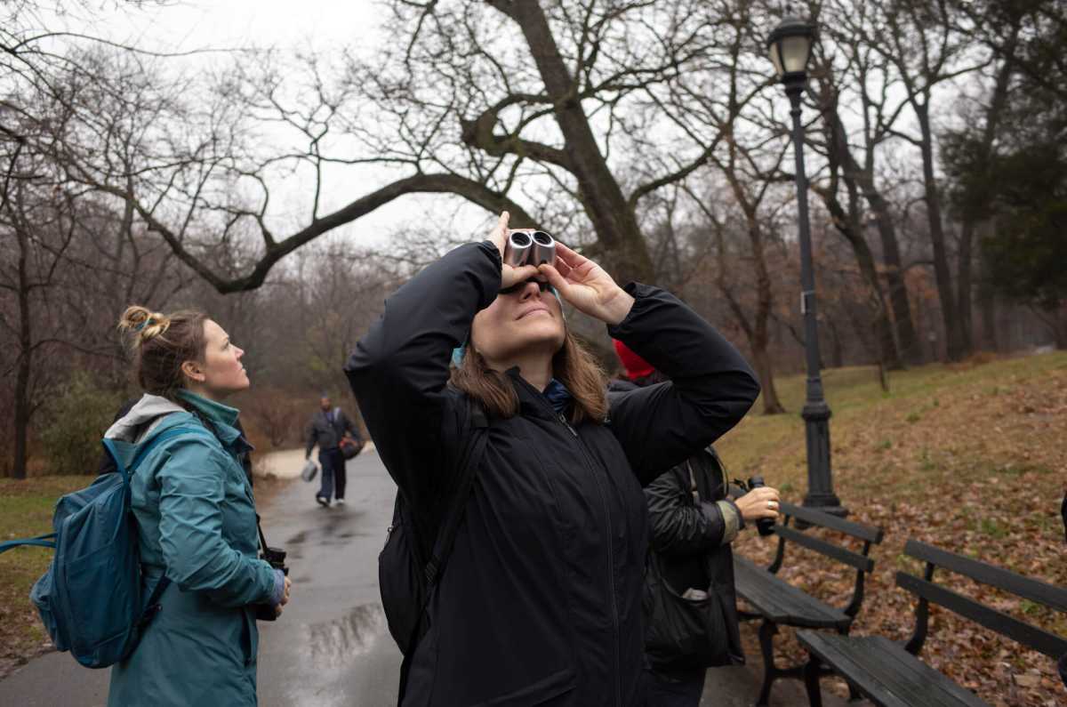 prospect park birders