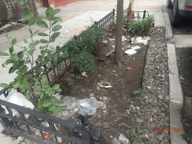 rain gardens