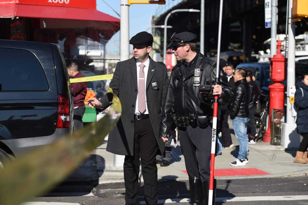 Bensonhurst hit and run