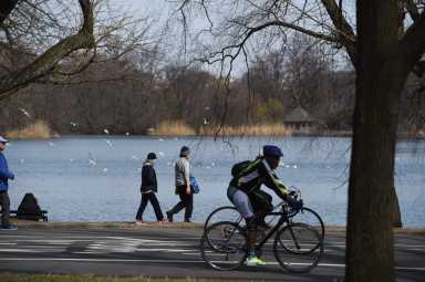todd-prospect-park-1