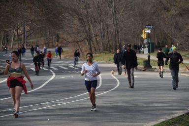 todd-prospect-park