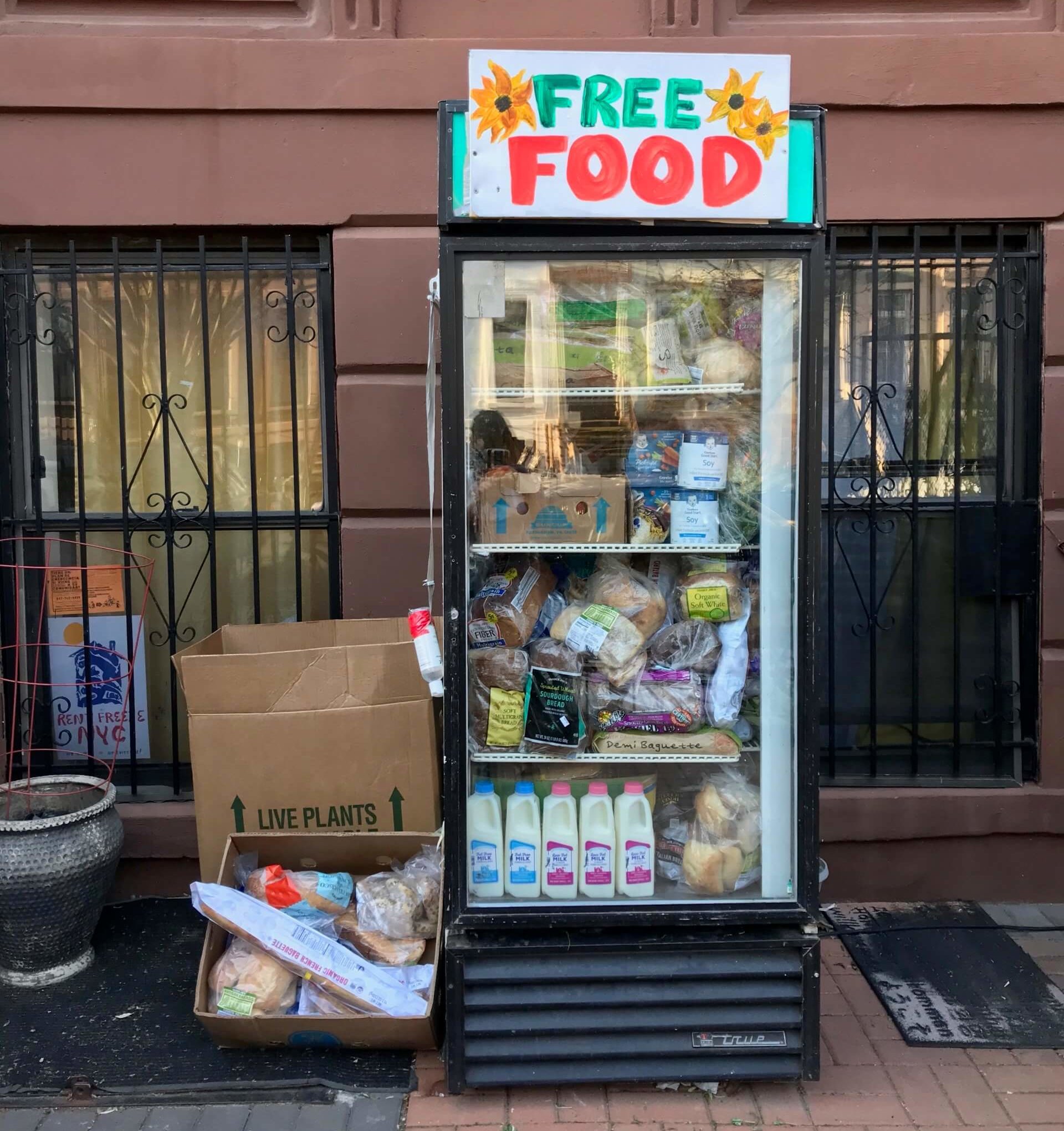 Dogooders install outdoor fridge with free food in BedStuy • Brooklyn