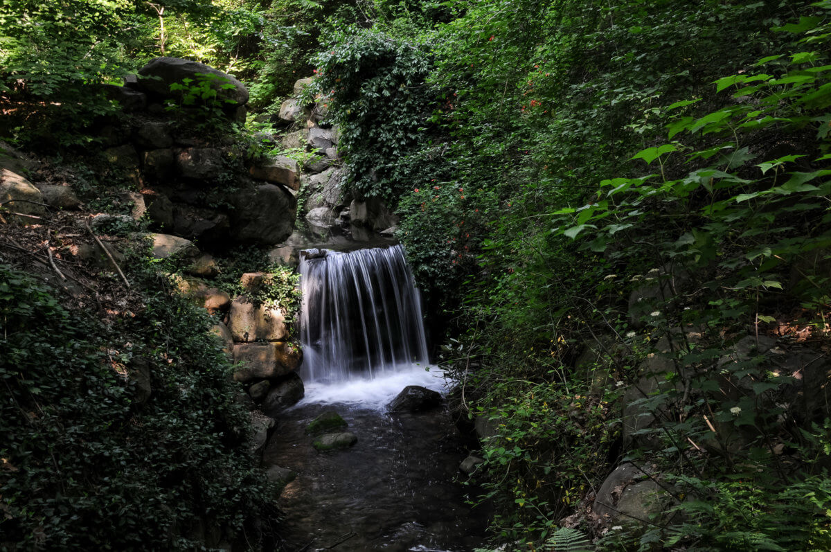 RS3140_Ravine After ©2013 Elizabeth Keegin Colley