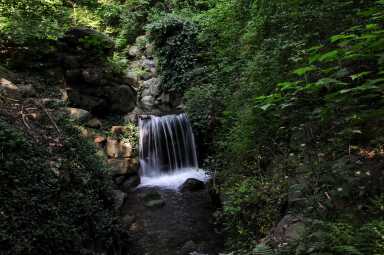 RS3140_Ravine After ©2013 Elizabeth Keegin Colley