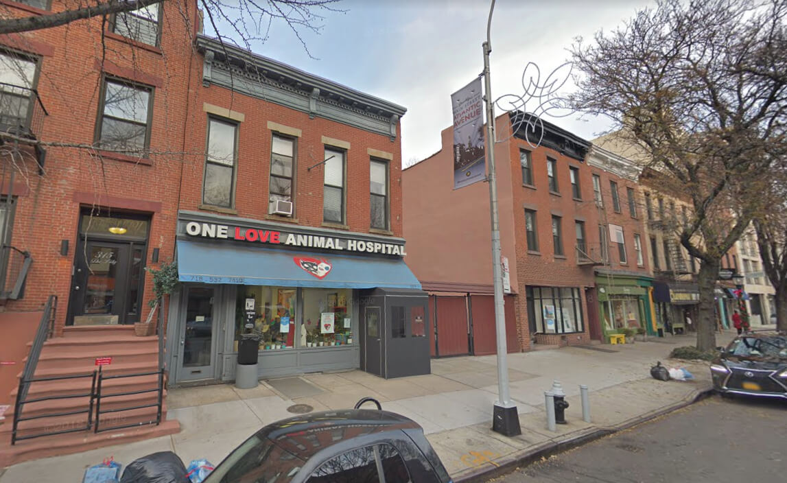 one love animal hospital atlantic ave