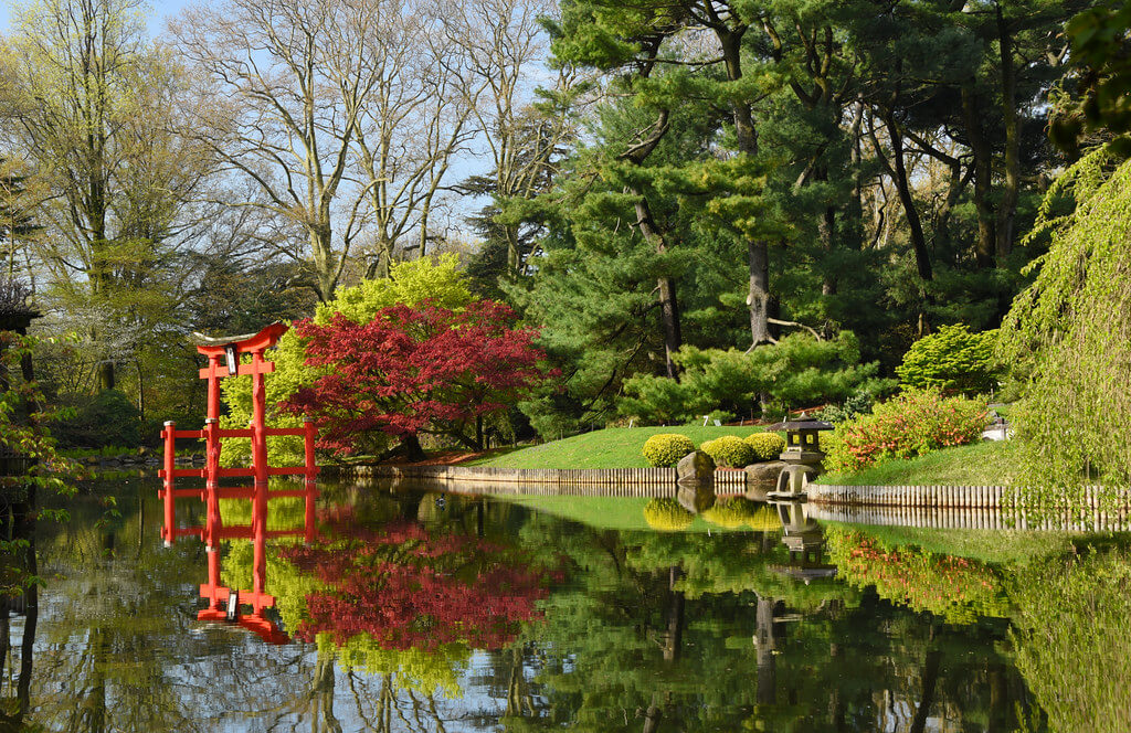 brooklyn botanic garden