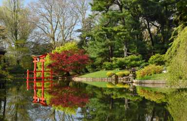brooklyn botanic garden