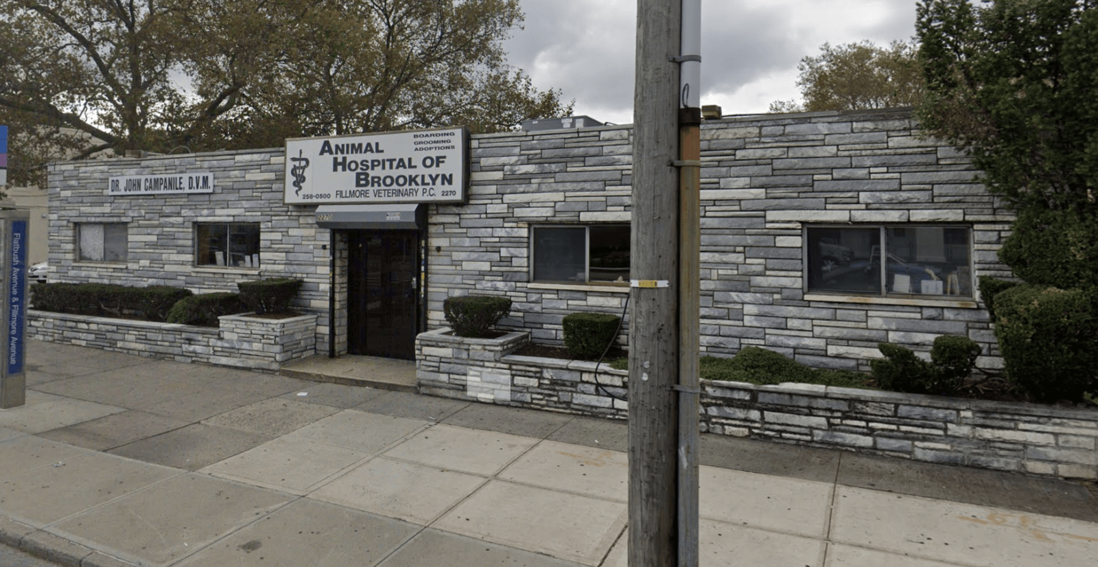 Marine Park woman claims local animal hospital lost beloved dog’s ashes