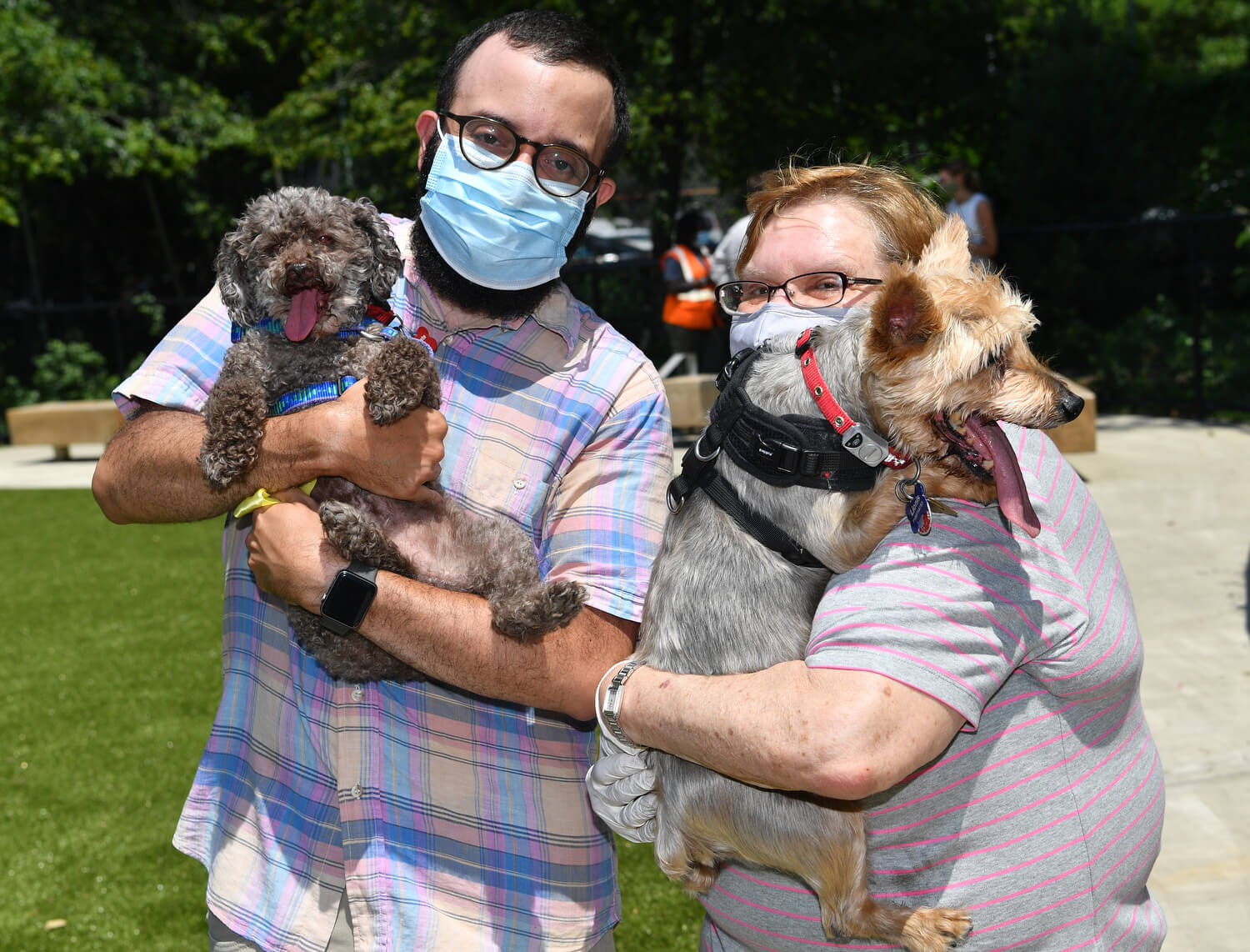 district dog brooklyn