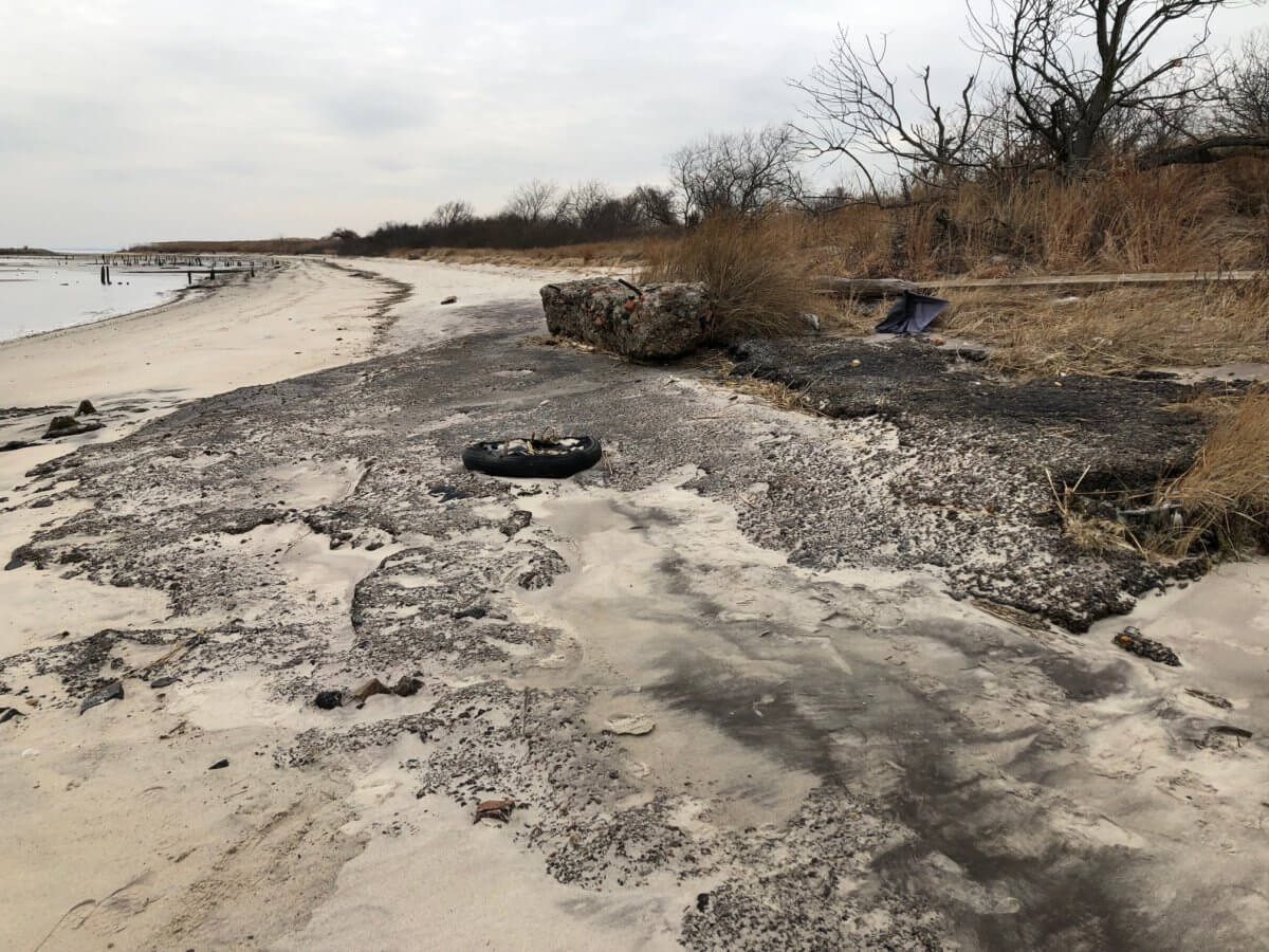 Dead Horse Bay