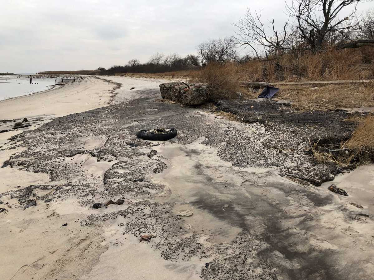 Dead Horse Bay