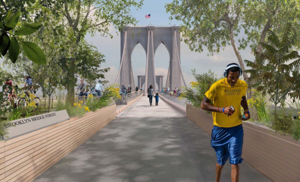 Brooklyn Bridge Forest 1