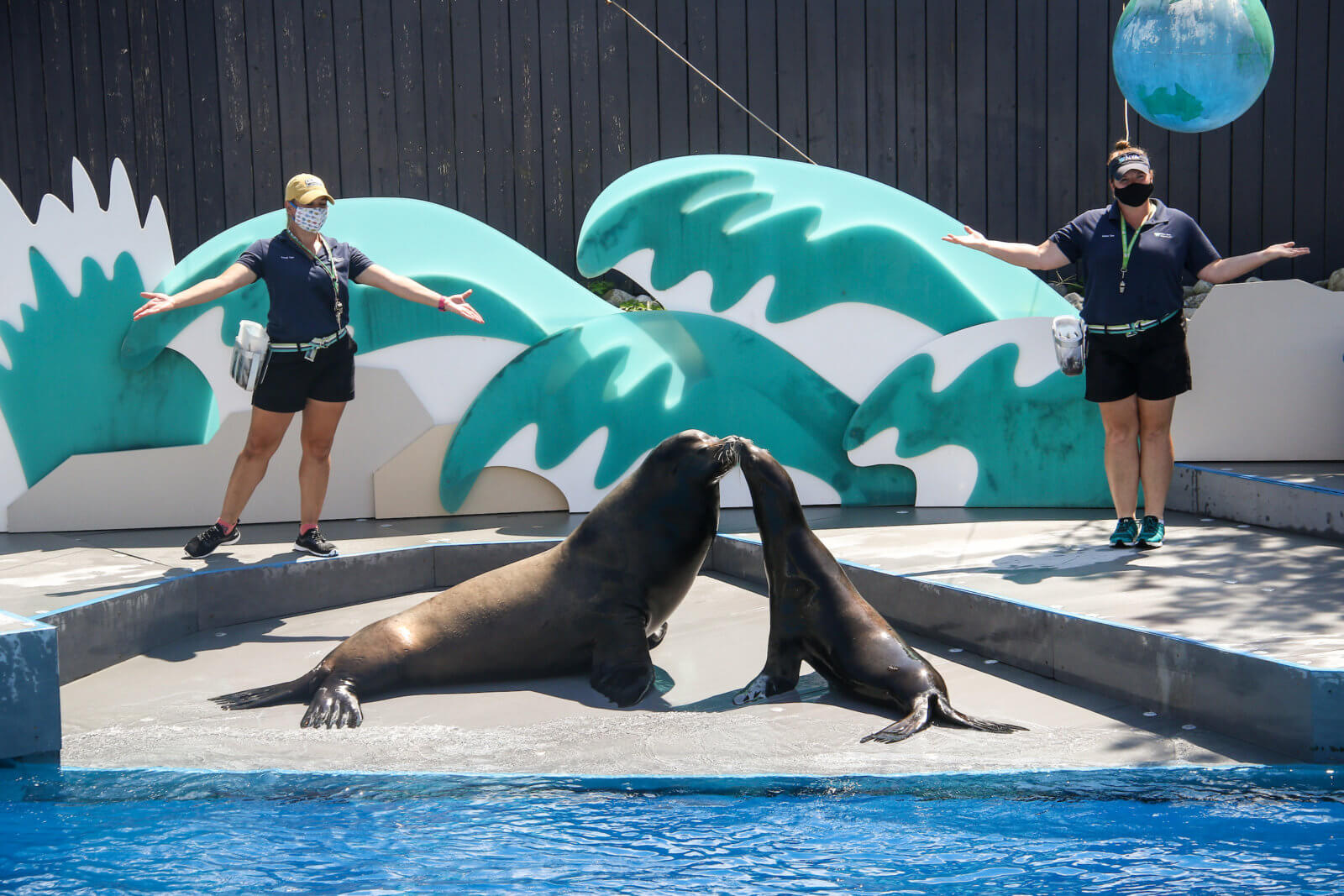 Photos New York Aquarium draws families on reopening day • Brooklyn Paper