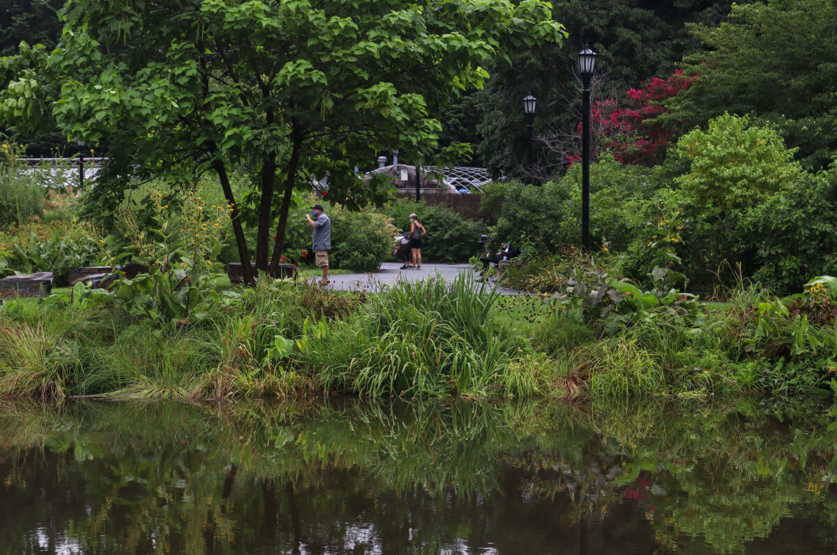 botanic garden